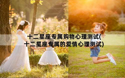 十二星座专属购物心理测试(十二星座专属的爱情心理测试)