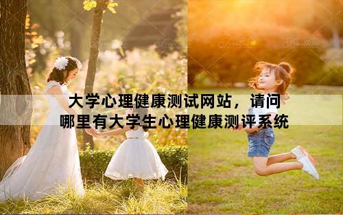 大学心理健康测试网站，请问哪里有大学生心理健康测评系统