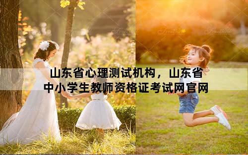 山东省心理测试机构，山东省中小学生教师资格证考试网官网