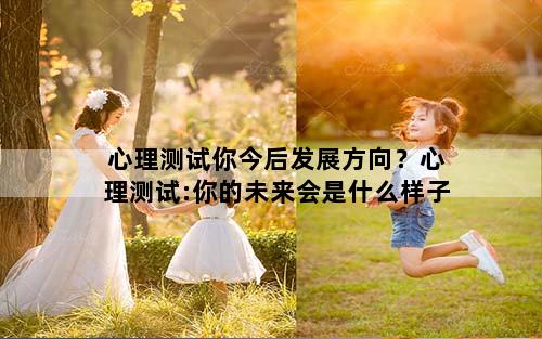 心理测试你今后发展方向？心理测试:你的未来会是什么样子