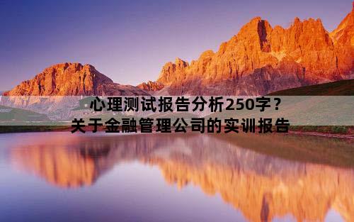 心理测试报告分析250字？关于金融管理公司的实训报告