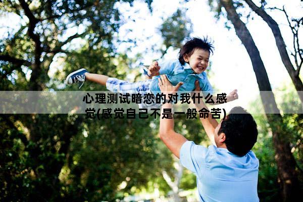 心理测试暗恋的对我什么感觉(感觉自己不是一般命苦)